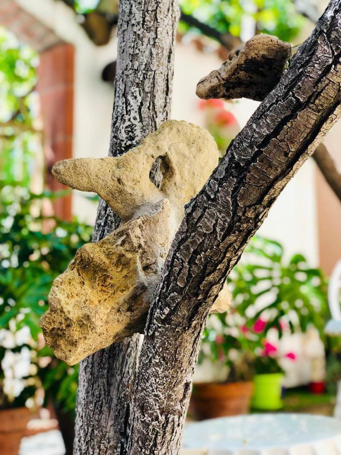Domo All'antico Borgo 2* Oristano